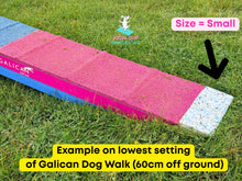 Load image into Gallery viewer, Running Contact Dog Walk Wedges