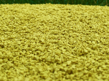 Load image into Gallery viewer, Strapped Non-Slip Running Contact Mat - Dog Walk Mat