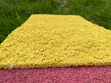 Load image into Gallery viewer, Strapped Non-Slip Running Contact Mat - Dog Walk Mat