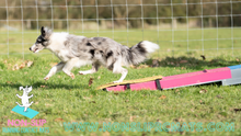 Load image into Gallery viewer, Strapped Non-Slip Running Contact Mat - Dog Walk Mat
